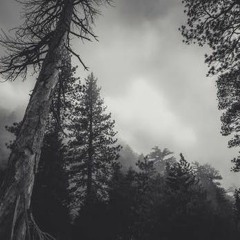 arden - szczęśliwym być ( prod. Discent )