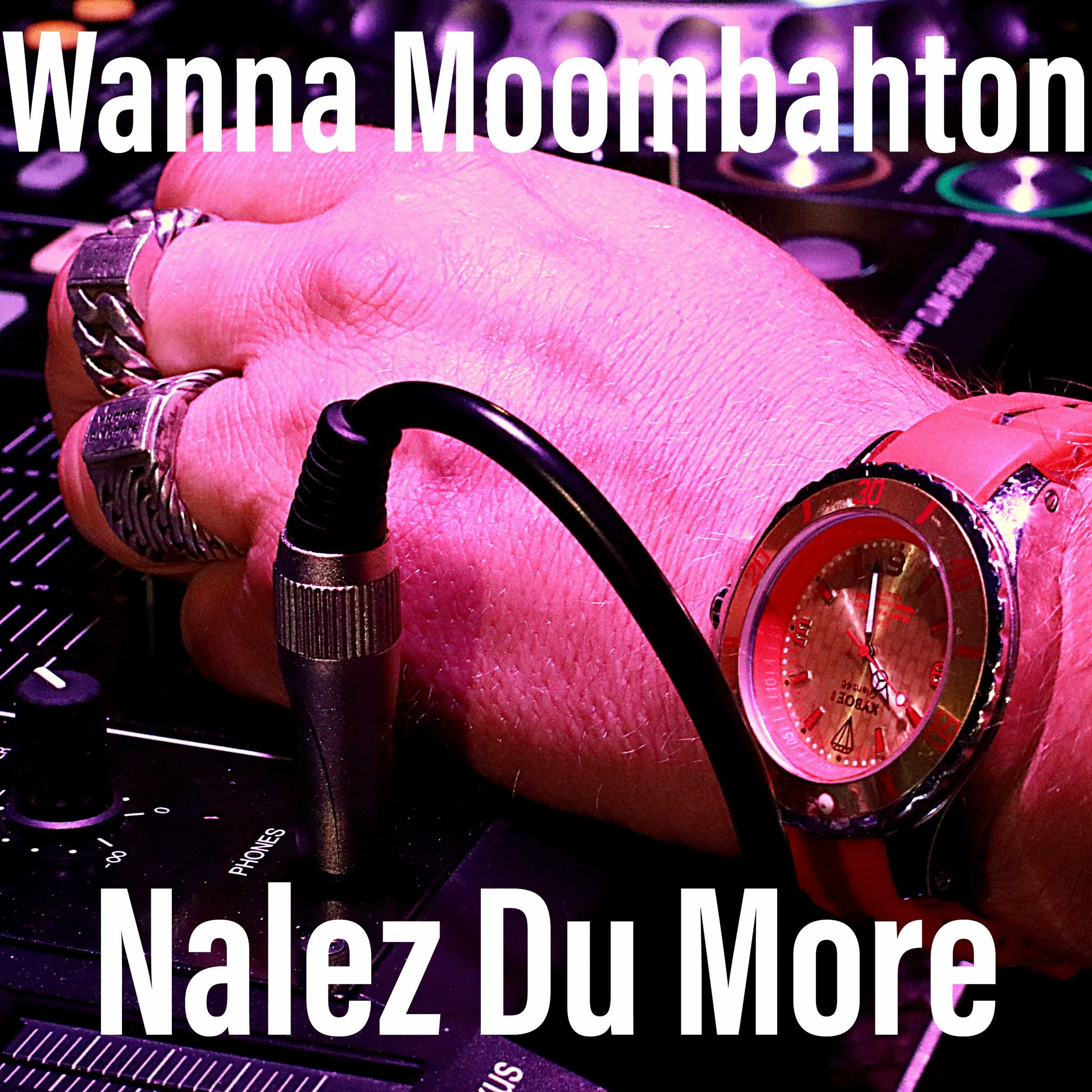 Nalez  Du More