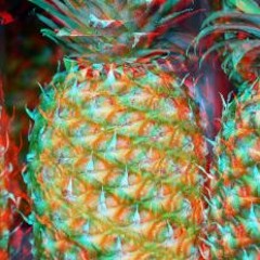 Tavim Hugo X TBJ -  P I N A