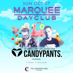 Mick Willow - Candypants Las Vegas Marquee Pool Party