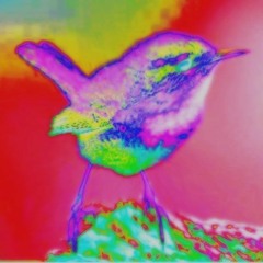 Birdsong No.4