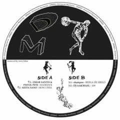 PREMIERE: shampoo - Reina De Hielo (original mix) [Dionysian Mysteries]