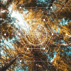 disturb trance & Ancestral Lapse - lucid dream