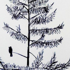 She's Gone (bob marley cover)