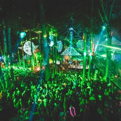 Shambhala 2018 DJ Sets