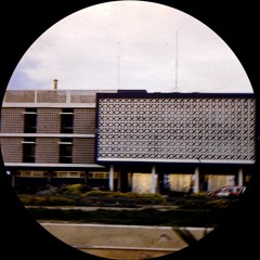 Rhubarb Gin (Ft popperwell)