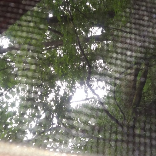 Sounds from Saturday afternoon