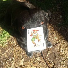 Pista de viernes por la noche...Harmonica Blues Guitar and Chilpa