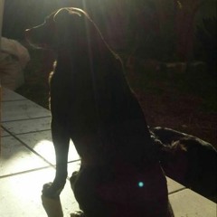 take 2 Harmonica Blues Guitar and Chilpa improvisation