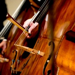 Phillip W. Serna - Double Bass, Violone & Viola da Gamba