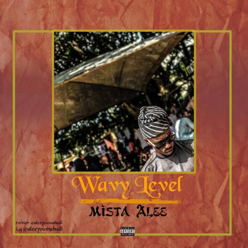 Alee - Wavy Level