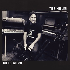 The Moles — Moon In The Daytime