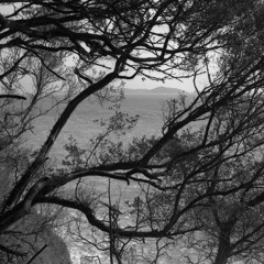 PIXELSYNTH Guernsey 002