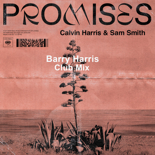 P'romises (Barry Harris Remix)