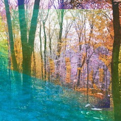 2026: falling, again.