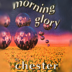 DJ Chester MORNING GLORY VOLUME  1 - (Side B)  1995