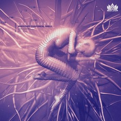 Chris Komus - The Innocent Machine