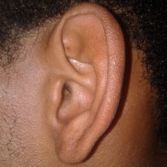 Molecular Mayhem Mustered