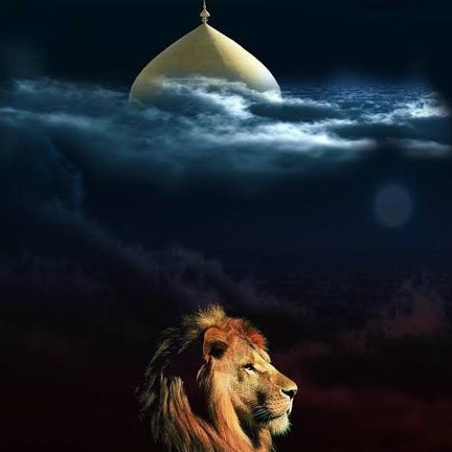 SHER E FIZZA (Meesam Abbas 2017-2018)