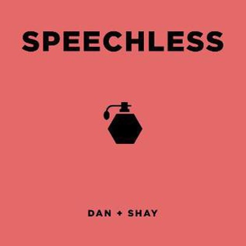 Speechless (Dan + Shay cover)