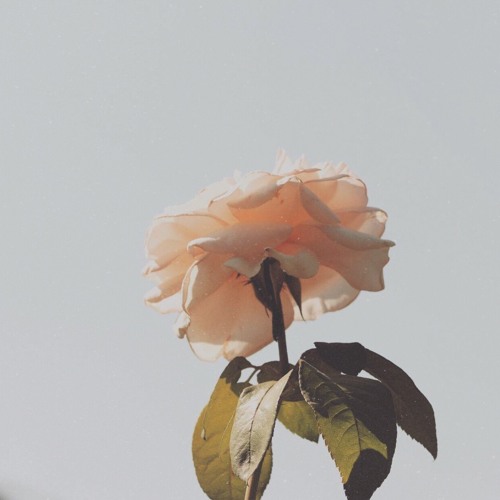 𝘪 𝘥𝘰𝘯’𝘵 𝘯𝘦𝘦𝘥 𝘺𝘰𝘶𝘳 𝘰𝘱𝘪𝘯𝘪𝘰𝘯
