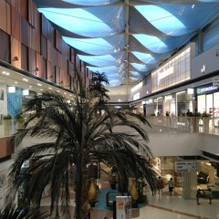 ｄｒｅａｍｓ ｉｎ ｈｅａｖｅｎ 天国