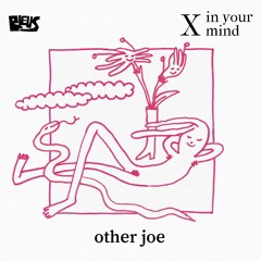 X - other joe