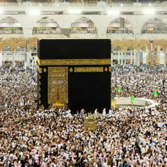 سورة إبراهيم المنشاوى مرتل