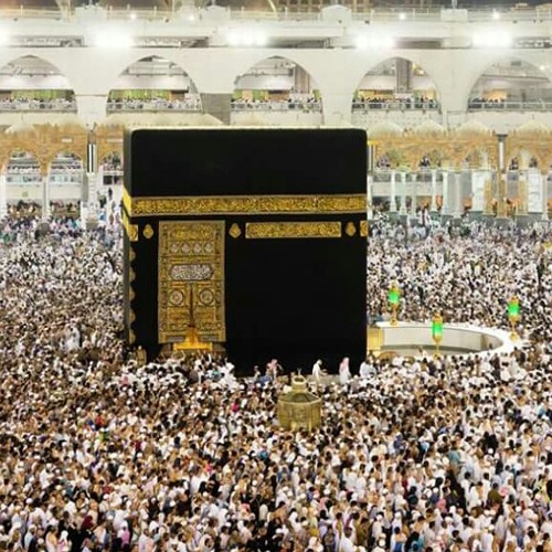 سورة إبراهيم المنشاوى مرتل