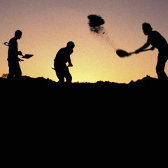 Digging in the Backyard
