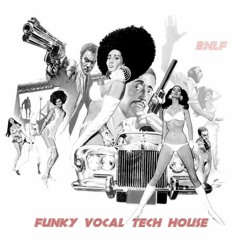 Funky Vocal Tech house   -   BNLF  2018