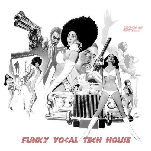 Funky Vocal Tech house   -   BNLF  2018