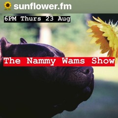 NAMMY WAMS SHOW ON SUNFLOWER FM - 230818