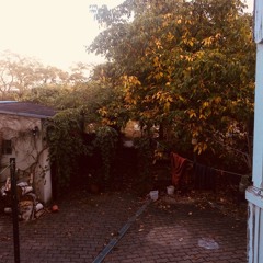 5 Jahre Herbst