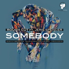 3. Rough Cut ft Jeris Spencer - Somebody (Hoxton Whores & James Hurr Remix)