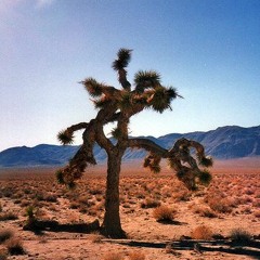 U2 - With Or Without You - DIFFERENT cover style (inspired by Randolf Arriola)