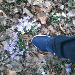 Anohni -  Hopelessness (musiceater reemix)