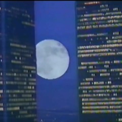 Under The Moonlight