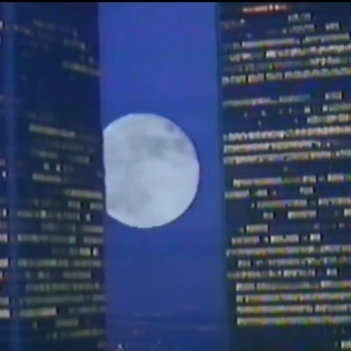 Under The Moonlight