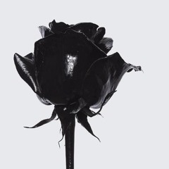 Black Wine (ft Lyon Hart & Masego)