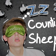 Countin' Sheep
