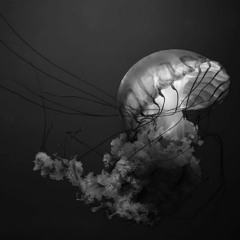 Helix (Original Mix) [Inkfish Recordings]