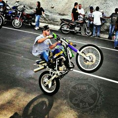 LA CURA PARA MI LOCURA ✘ RIIPON (Aleteo, Zapateo, Guaracha, Tribal, Latin House)