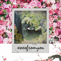 i miss you a lot w/ shiloh dynasty