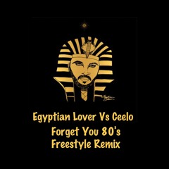 Egyptian Lover vs Forget You 80's Freestyle Remix (Clean)