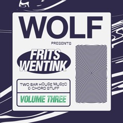 PREMIERE: Frits Wentink - Theme 11