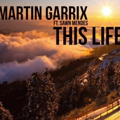 Martin Garrix ft. Shawn Mendes - This Life