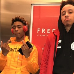 System Ft Bird