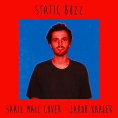 Static Buzz (Snail Mail Cover)
