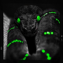 Snakes ft. ChelloGoDumb (Prod. @WYAbeatz)